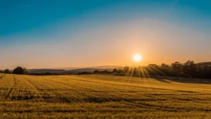 Por que alguns não tenham medo do amanhã? Encontre a paz em Deus